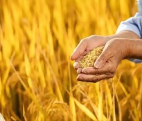 �r(n��ng)�I(y��)��I(y��)������Ч֮�����y�ֹ�����ԃ��˾����(chu��ng)�x�͡��r(n��ng)�I(y��)�ИI(y��)������Ч-�r(n��ng)�I(y��)�ИI(y��)�����YԴ-�r(n��ng)�I(y��)�ИI(y��)������ԃ-�ɶ�������ԃ��˾��