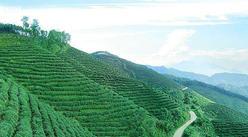 �����Έ@�^(q��)���졿���������о���桿-�ɶ��������о����