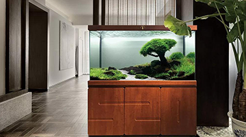 �����ˮ�塿�����ꅢ�\���-�ɶ��������ԃ��˾