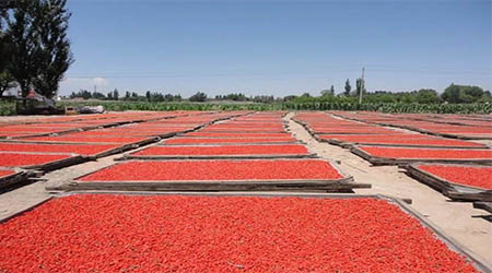 �����ԃ��������ИI(y��)����(w��)���ɶ�Ʒ�ơ��¹���轡��������ԃ������Ʒ�ƶ�λ��ԃ����(w��)��